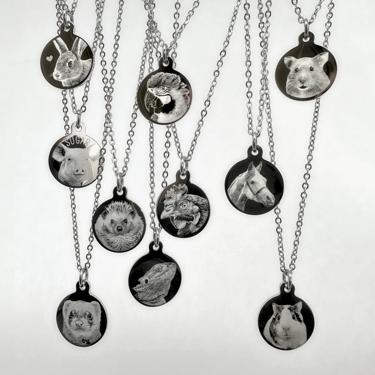 REPTILE OWNER JEWELRY GIFT