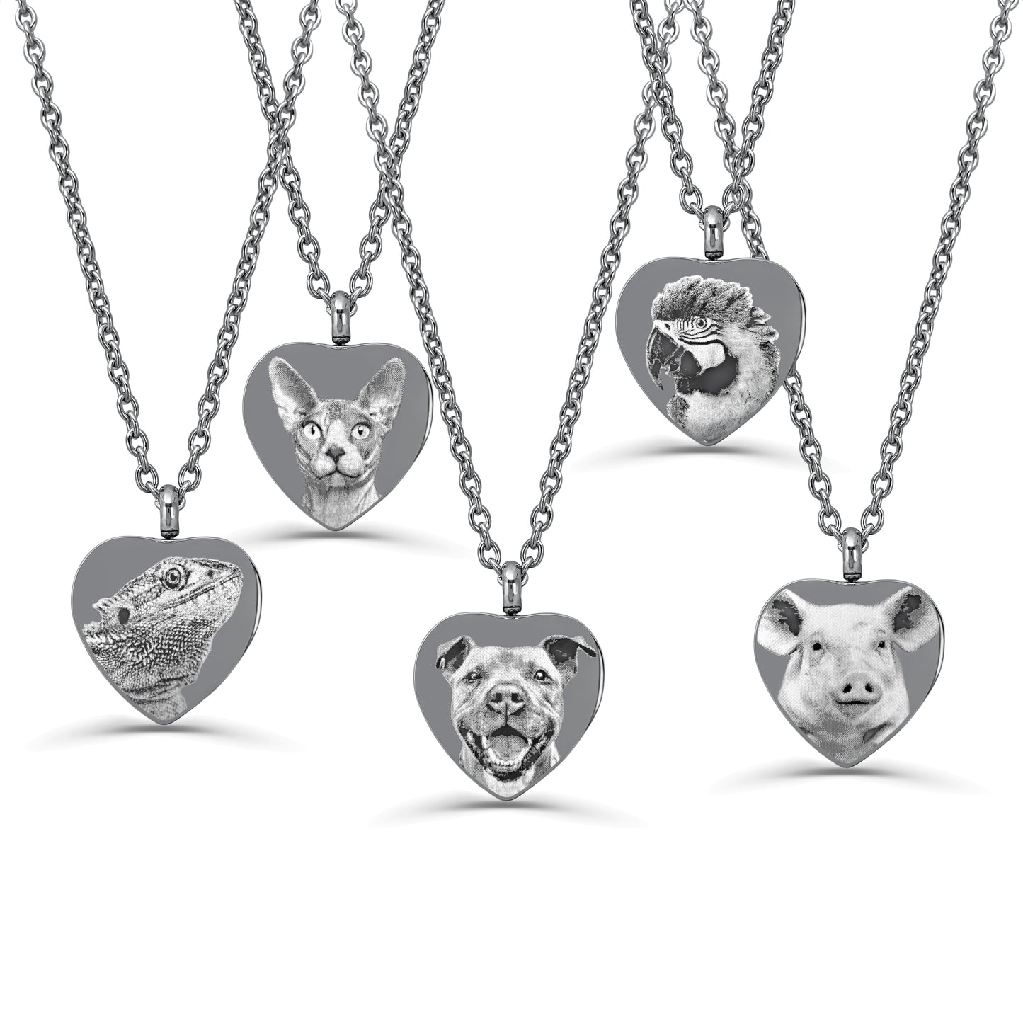 A series of stainless steel cremation urn necklaces with heart-shaped pendants featuring various engraved designs of pets like pig, dog, cat, parrot, lizard, bearded dragon.