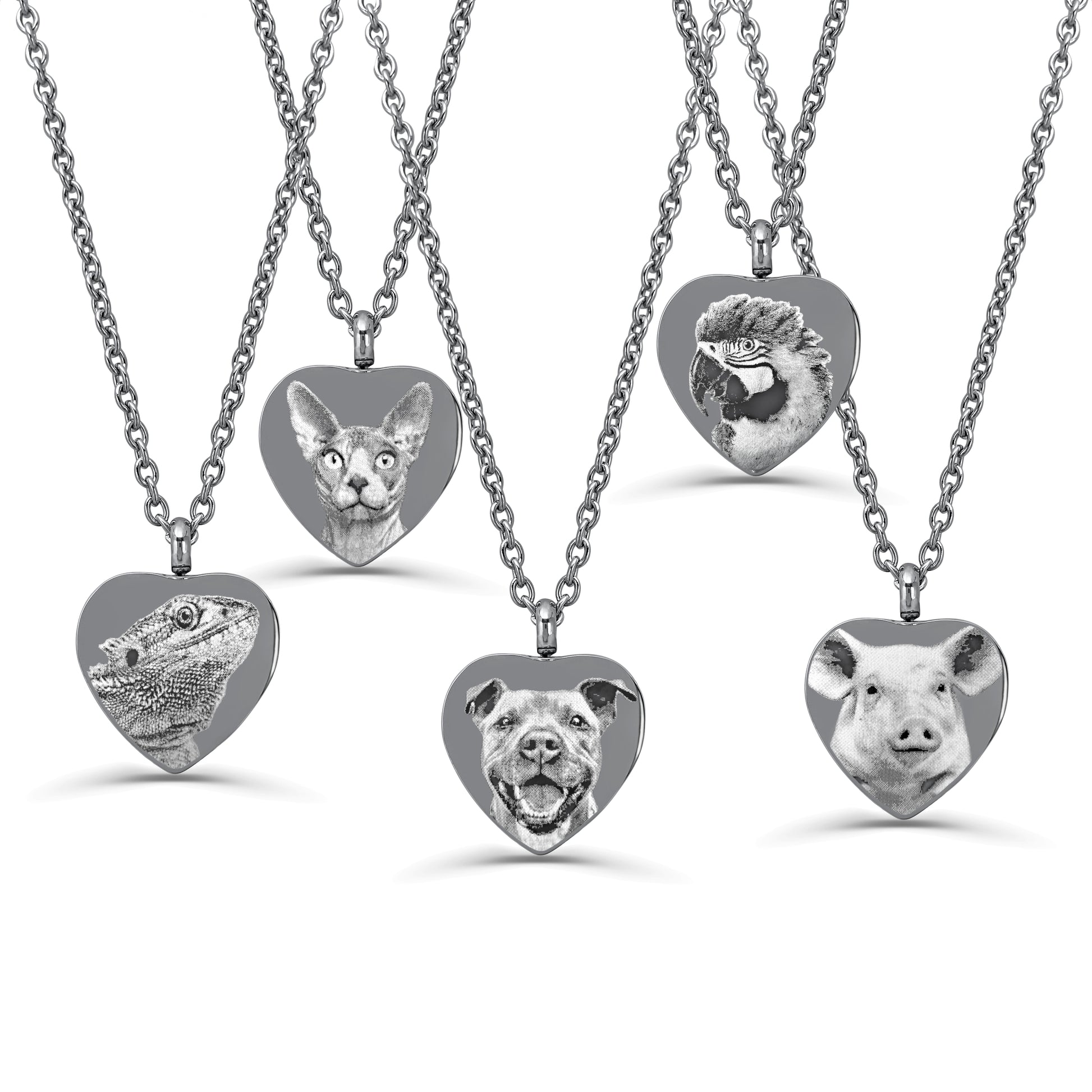 A series of stainless steel cremation urn necklaces with heart-shaped pendants featuring various engraved designs of pets like pig, dog, cat, parrot, lizard, bearded dragon.