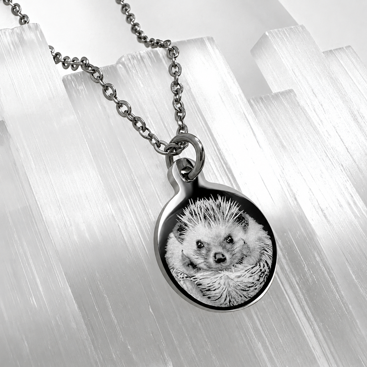 Personalized silver round pet portrait necklace featuring a hedgehog photo engraved on a polished stainless-steel pendant.